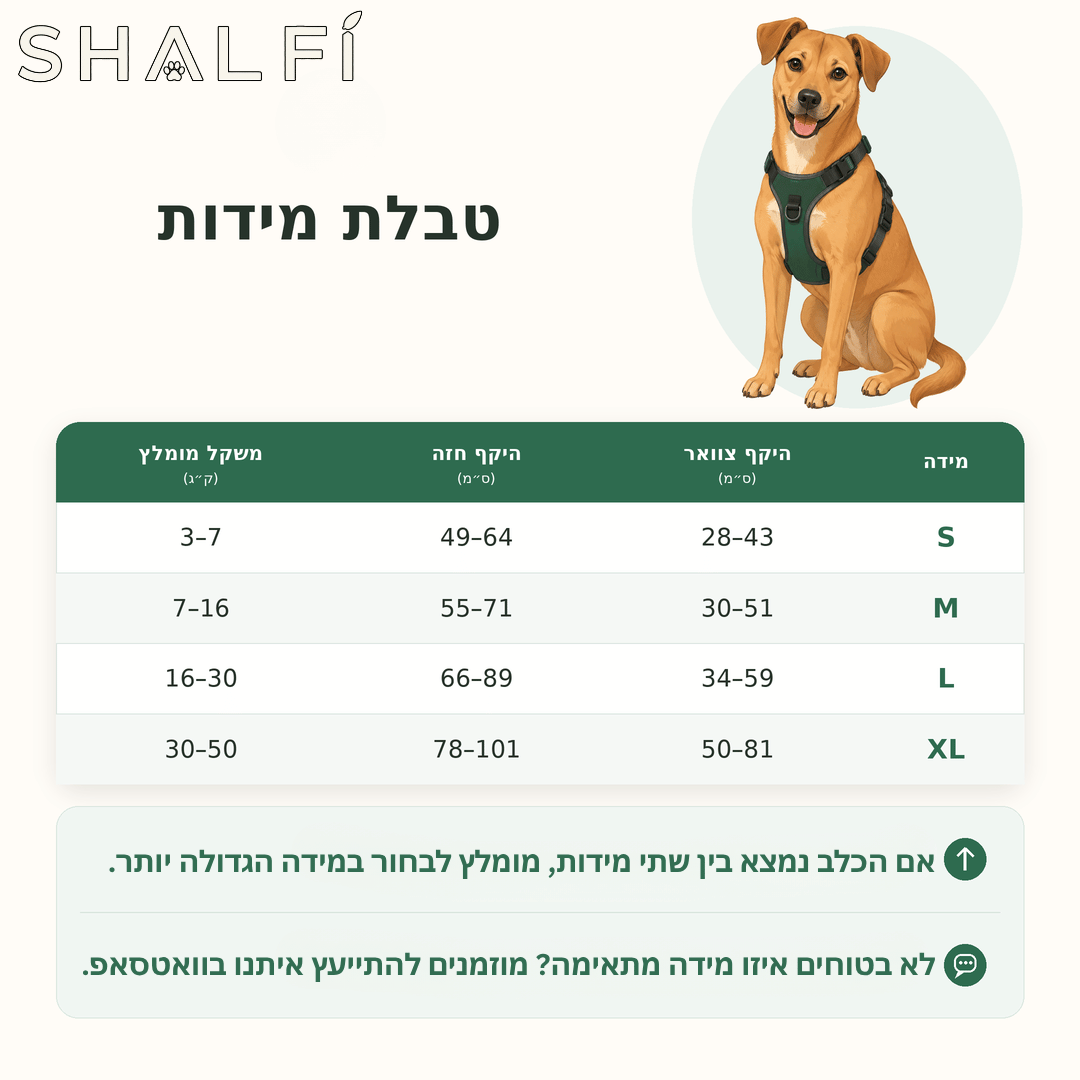 PawControl™ – רתמה נגד משיכות לכלבים