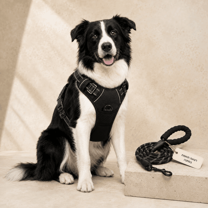 PawControl™ – רתמה נגד משיכות לכלבים