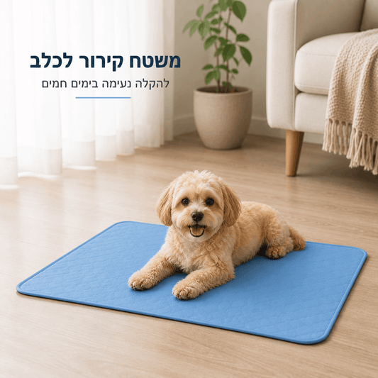 משטח קירור לכלבים